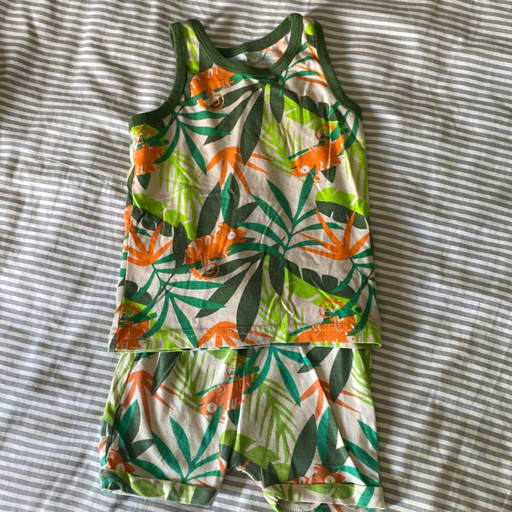 Chameleon Toddler Boy Outfit